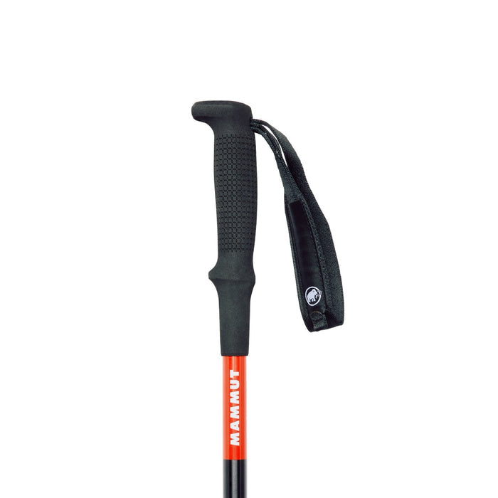 Aenergy Escape Poles