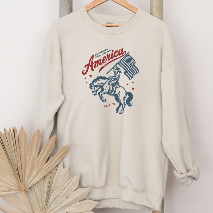 America Since 1776– Crewneck