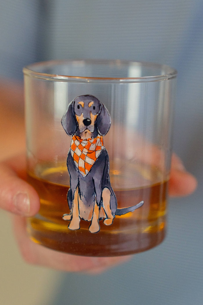 Bluetick Coonhound Sitting Rocks Glass