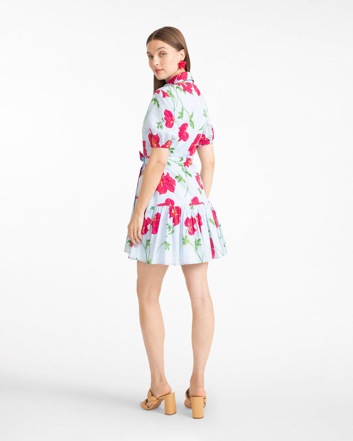 Cecily Mini Shirtdress