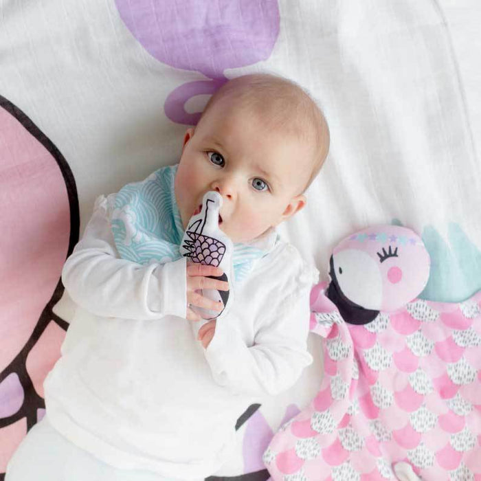 Kippins Coco Flamingo Organic Cotton Teething Rattle | Koop.co.nz
