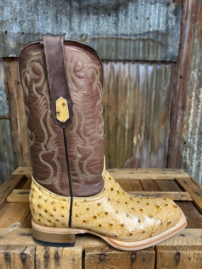 Cowtown Orix Ostrich Print Western Boot