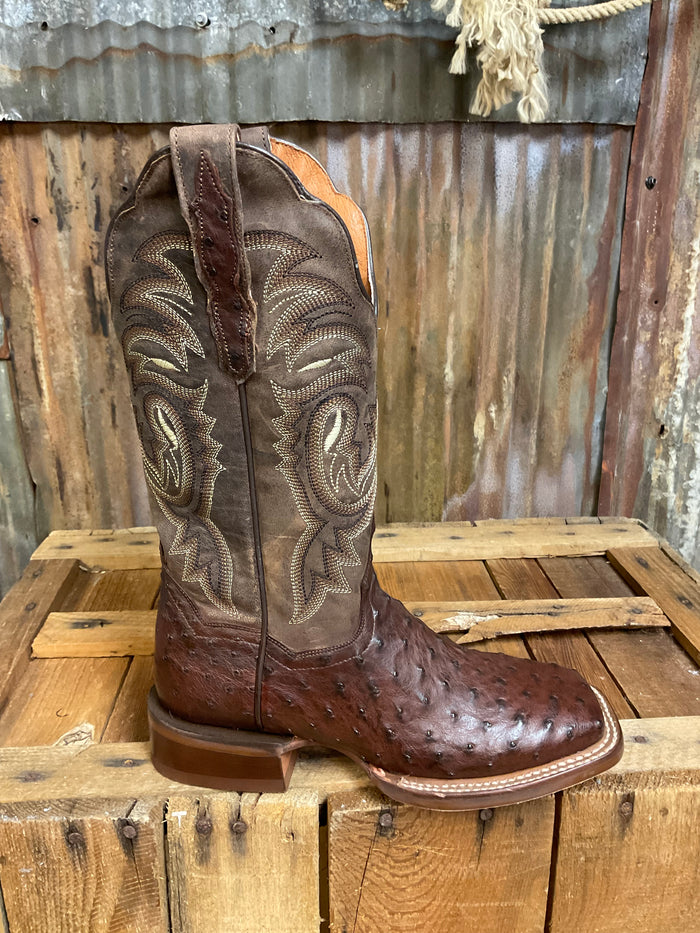 Dan Post Kylo Full Quill Ostrich Boot