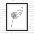 Dandelion - INDIGO ZULU INK