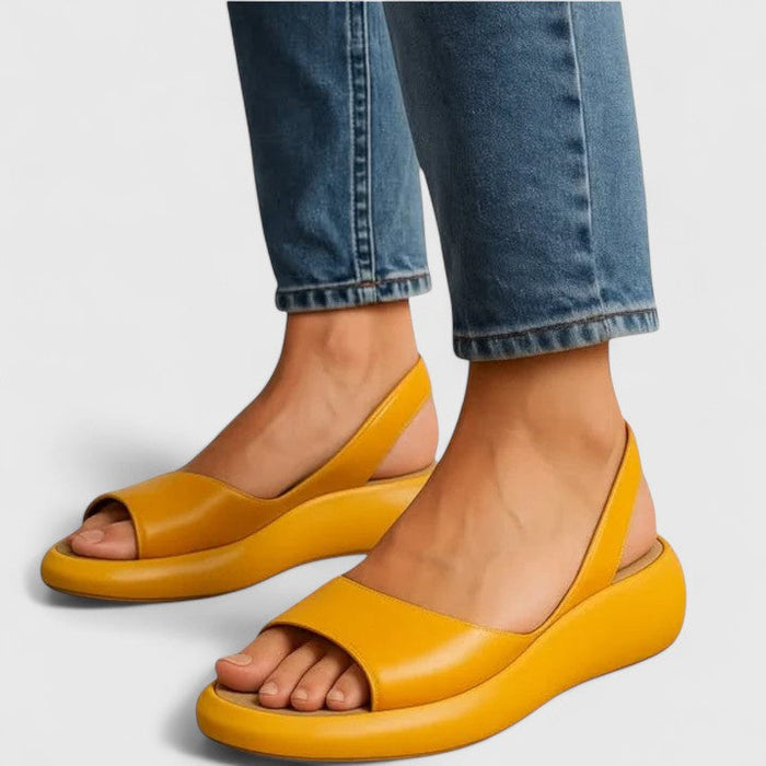 Yellow / 6