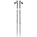Expedition 3 Ski Poles