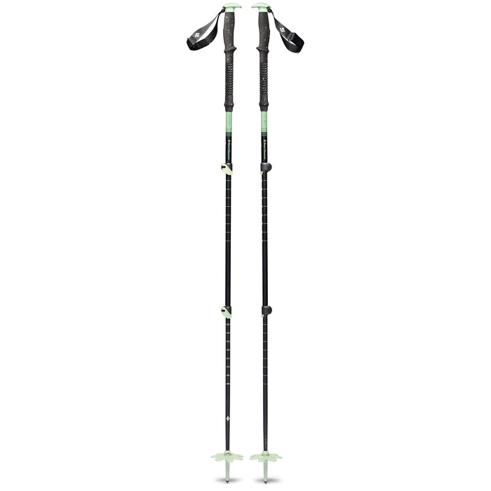 Expedition 3 Ski Poles