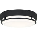 Hale Flush Mount
