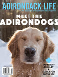 January/February 2021 Issue