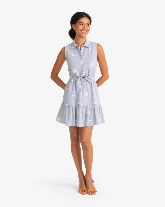 Laken Tie Waist Stripe Dress