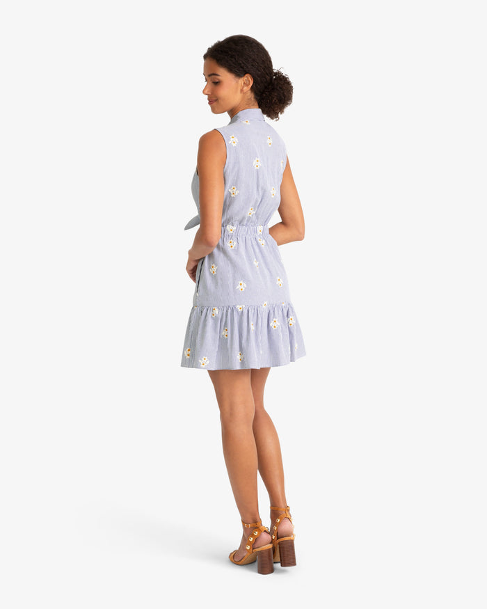 Laken Tie Waist Stripe Dress