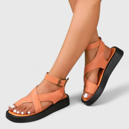 Orange / 6