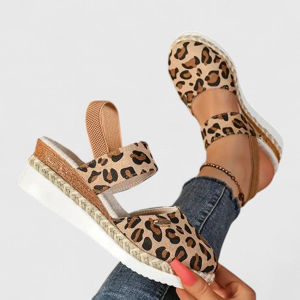 Leopard / 6