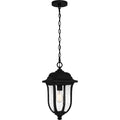 Mulberry Hanging Light