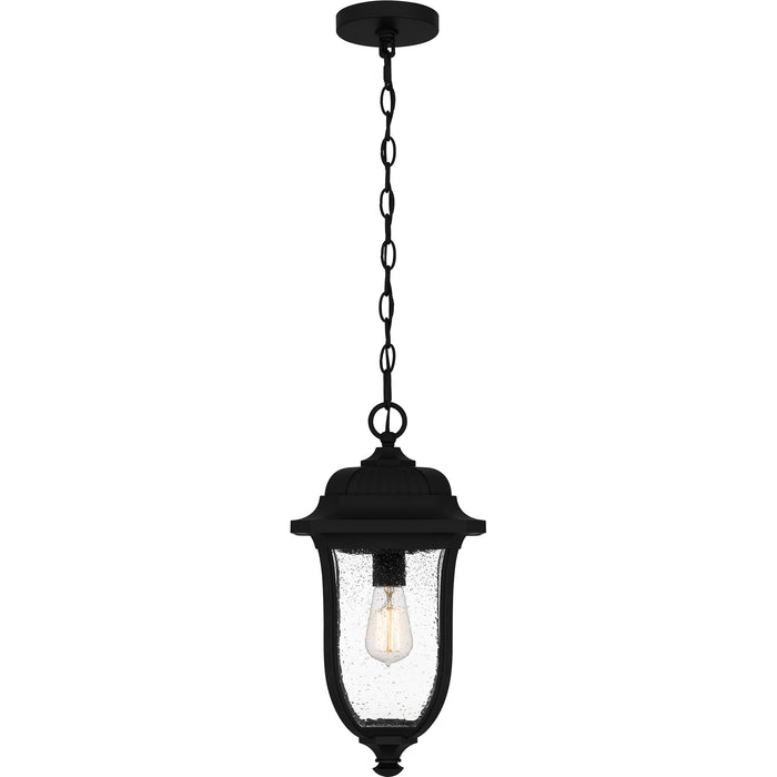 Mulberry Hanging Light