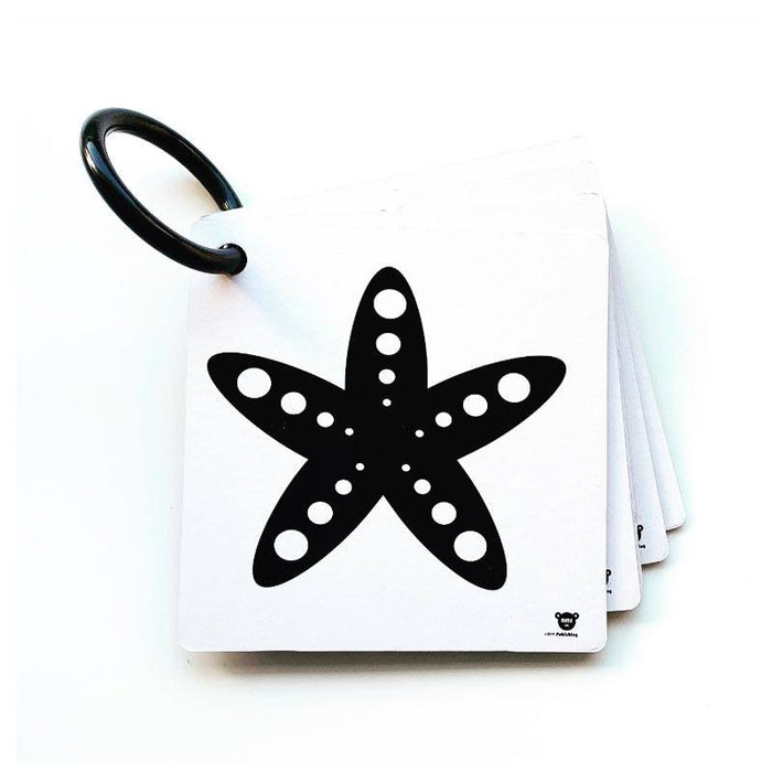 My Family Book My Stroller Cards Ocean | Koop.co.nz