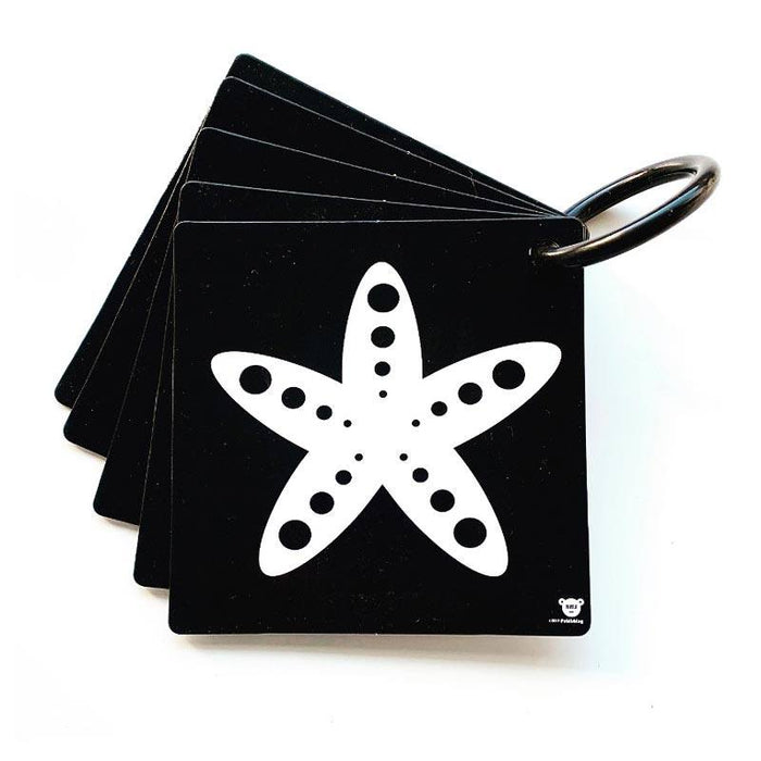My Family Book My Stroller Cards Ocean | Koop.co.nz