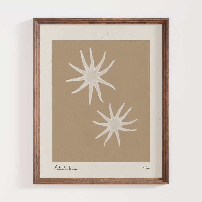 Sea Star 1 | Seashell Art Print
