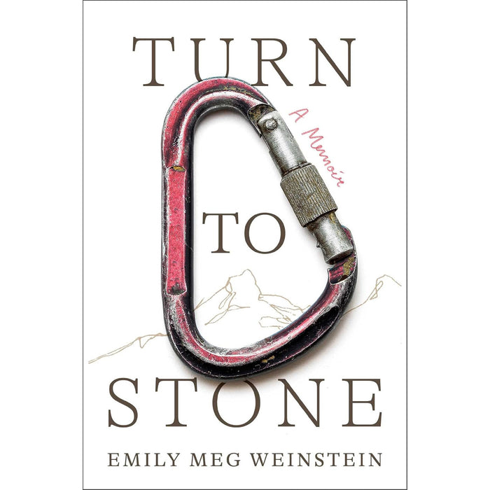 Turn to Stone: A Memoir by Emily Meg Weinstein