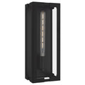 Young Wall Light